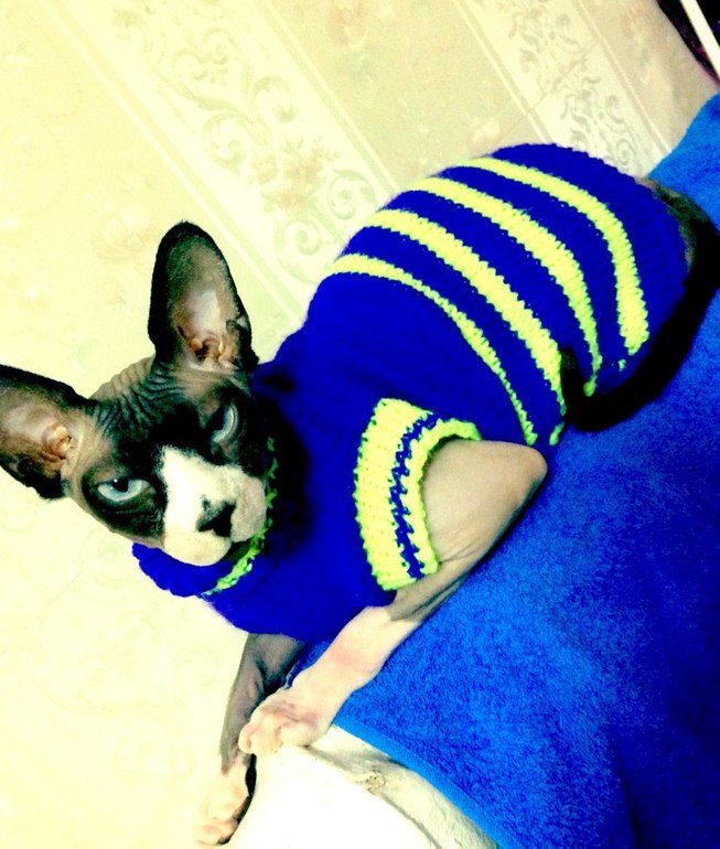 Мой первый опыт!!!!