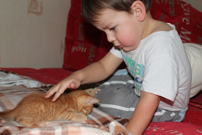 Кирилл проявляет ответственность))