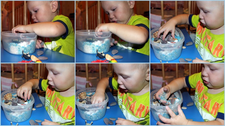 Морская сенсорная коробочка