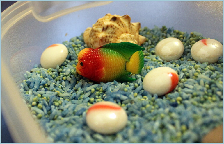 Морская сенсорная коробочка