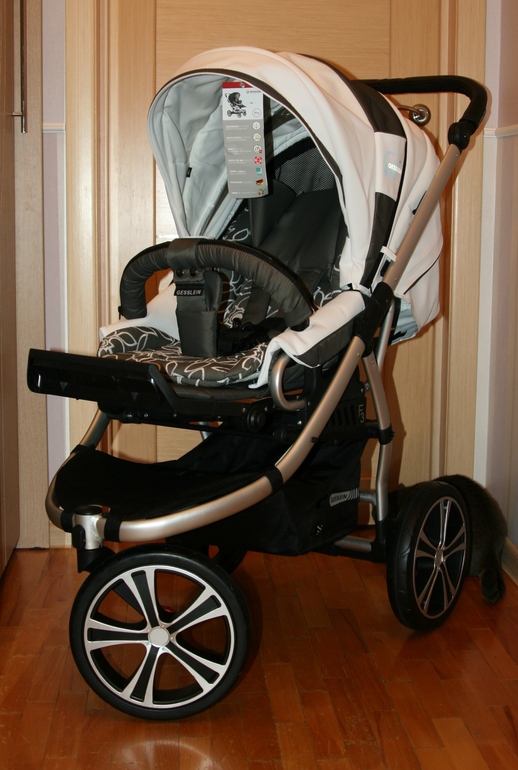 Наш колясопарк...