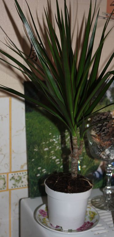 Как называются?