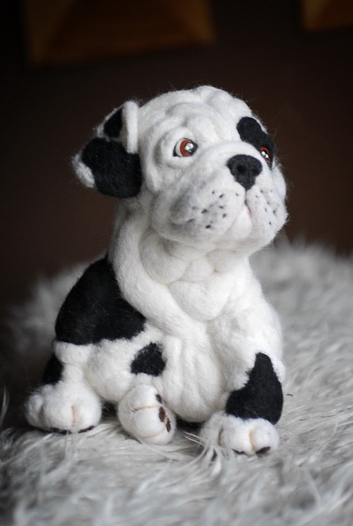 щенок английского бульдога Снежок