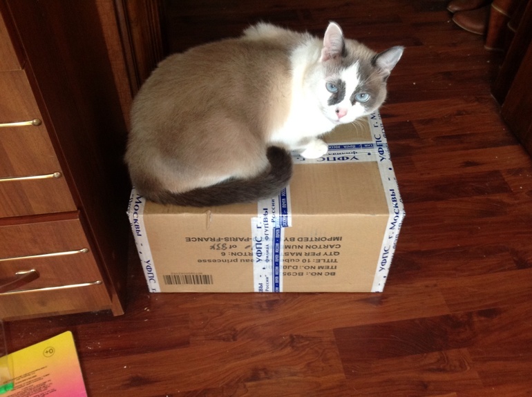 Наша вторая посылочка из лавочки!