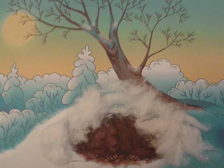 4.12 - Животный мир зимой.