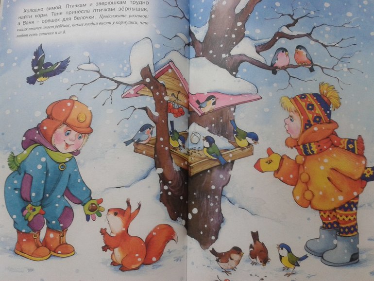 6.12 - Птицы зимой.