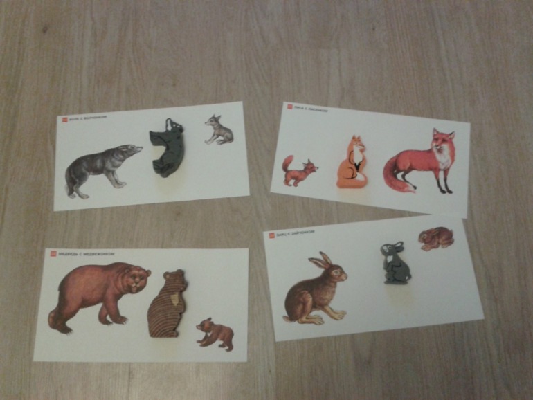 4.12 - Животный мир зимой.