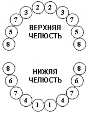 Верхние боковые зубки вместо центральных))