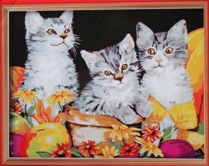 Новосибирск! КАРТИНЫ-РАСКРАСКИ ПО НОМЕРАМ! Неформат