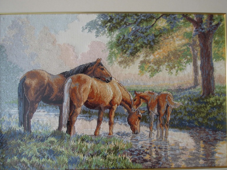 Офомились (много фото)