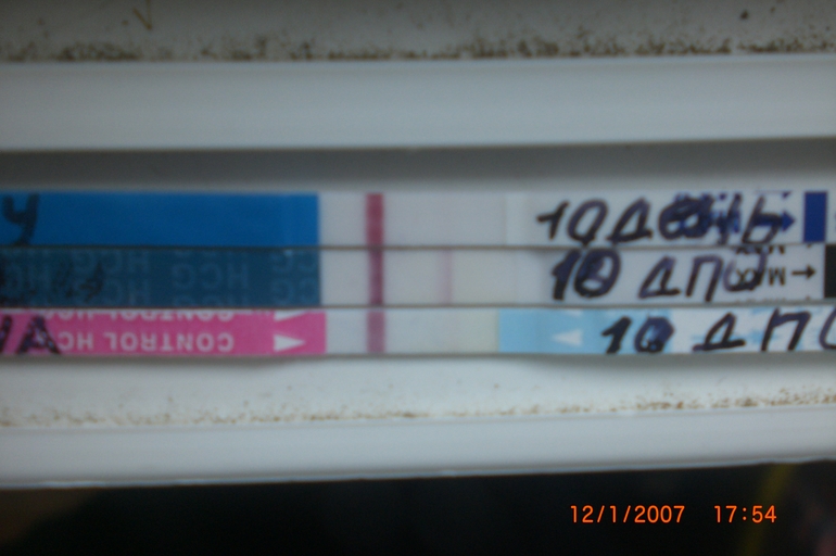 9c3cf301ff3e95ed8f047866e007d49e.jpg