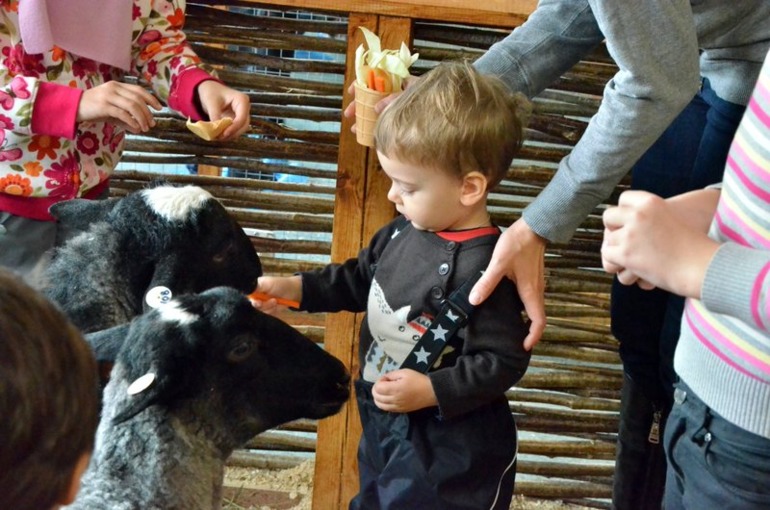 Контактный зоопарк на ВВЦ (много фото)