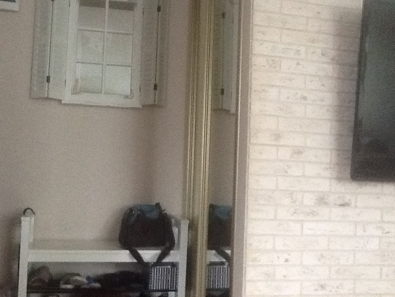 Кухня- гостиная и немного прихожей