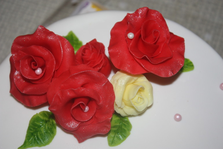 Мои первые розочки...Девочки, посмотрите расту???