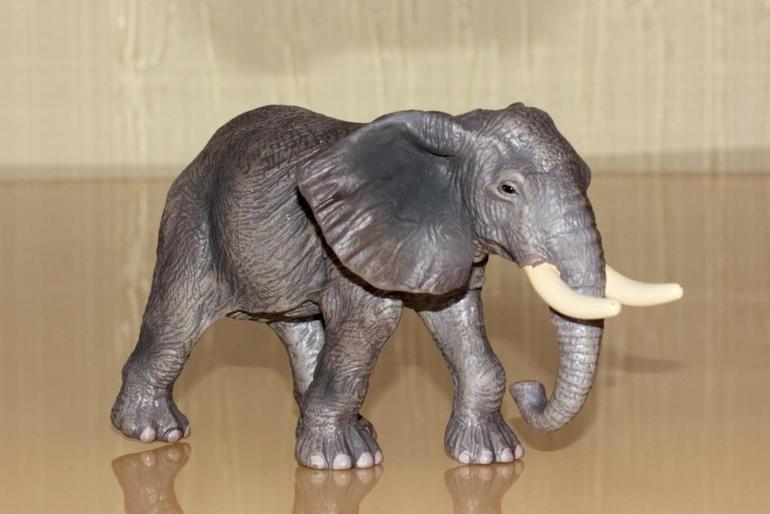 Изучаем животных.