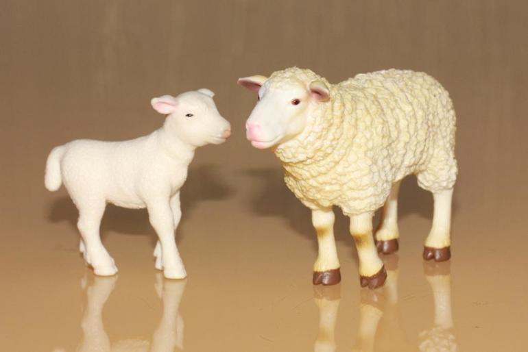 Изучаем животных.