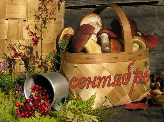 Контрольное задание № 9. Использование масок слоев