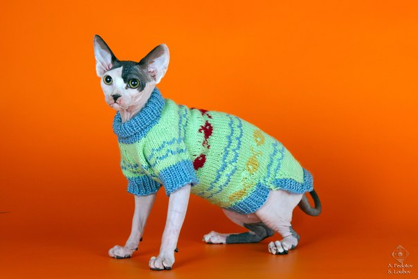 Девочки рукодельницы! Кто-нибудь вяжет на заказ ?