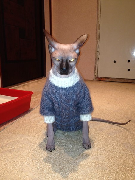 Девочки рукодельницы! Кто-нибудь вяжет на заказ ?