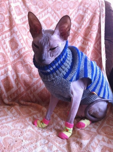 Девочки рукодельницы! Кто-нибудь вяжет на заказ ?