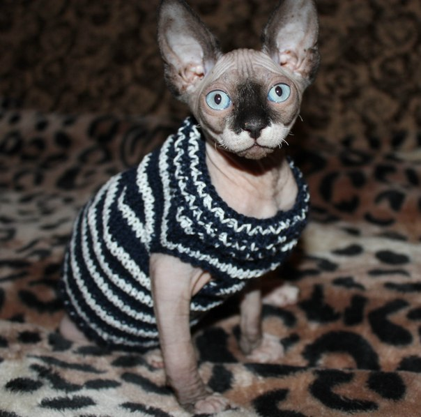 Девочки рукодельницы! Кто-нибудь вяжет на заказ ?