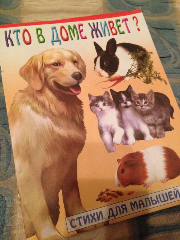 Пополнили нашу библиотеку (0-12 месяцев)