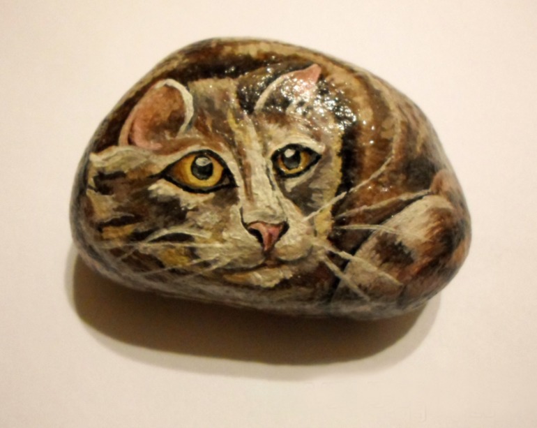 мудрые совы, хитрые кошки