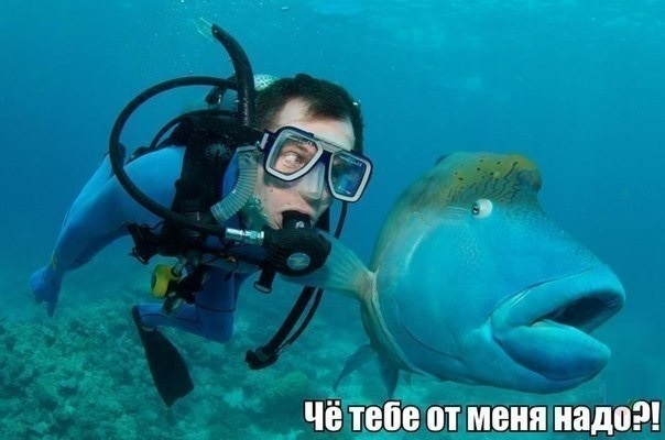 минутка тупого юмора (9картинок)