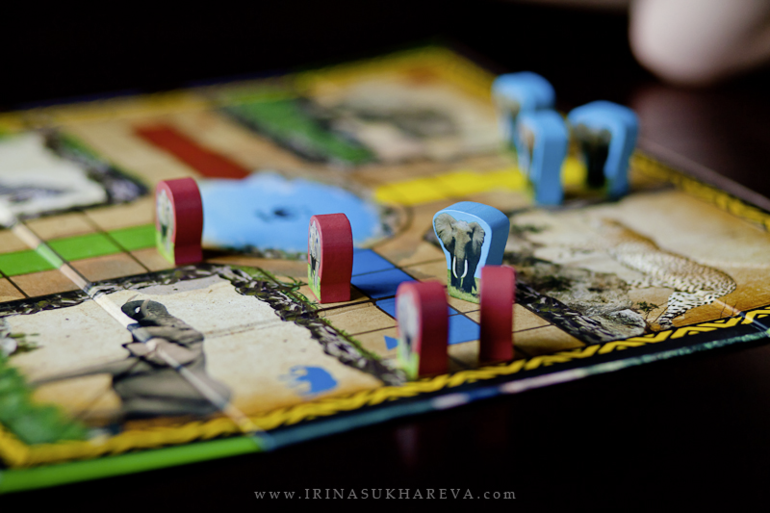 Настольные игры от Всемирного Фонда дикой природы (WWF).