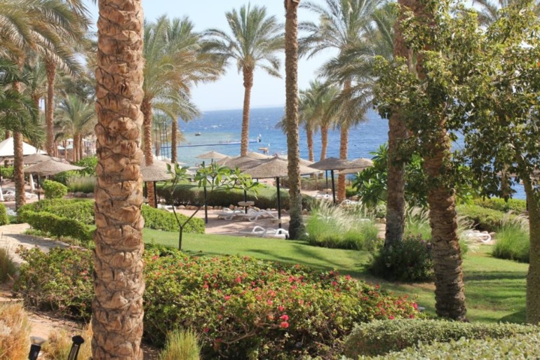 Отель Гранд Ротана в Шарме