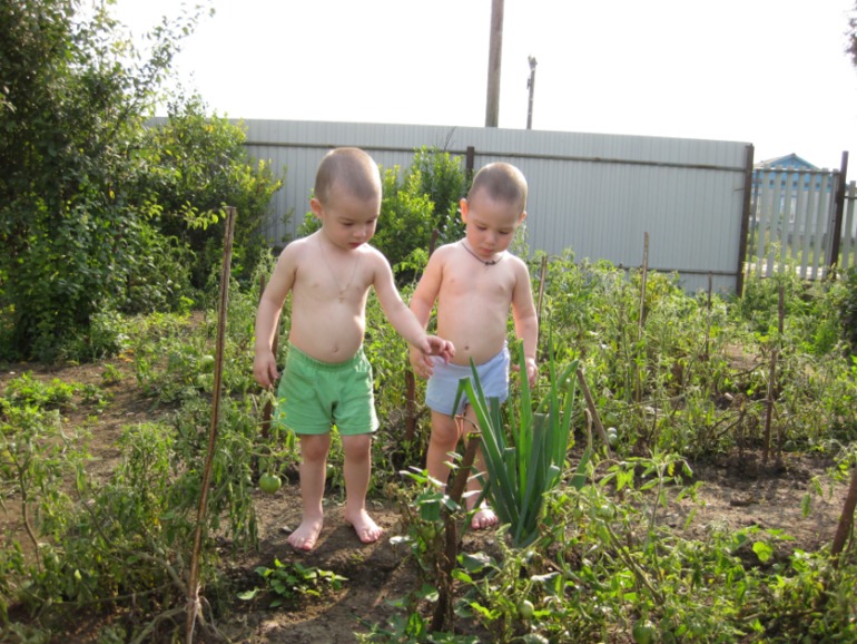 Наш летний фотоотчет!