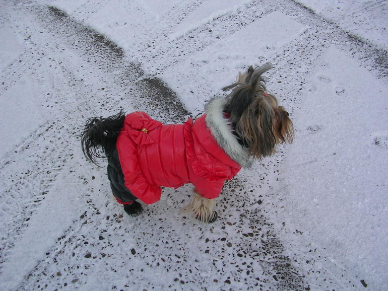 Зимняя фотосессия!