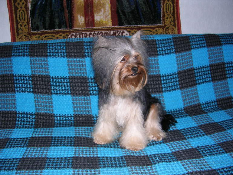 Зимняя фотосессия!