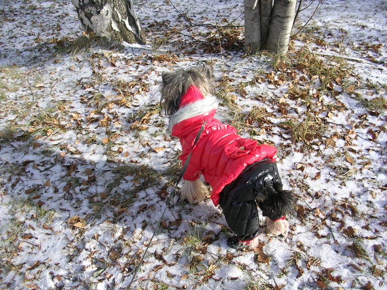 Зимняя фотосессия!