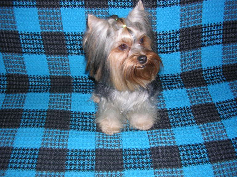 Зимняя фотосессия!