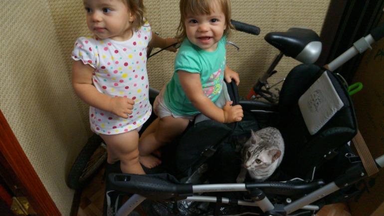 Полтора года (много фото)