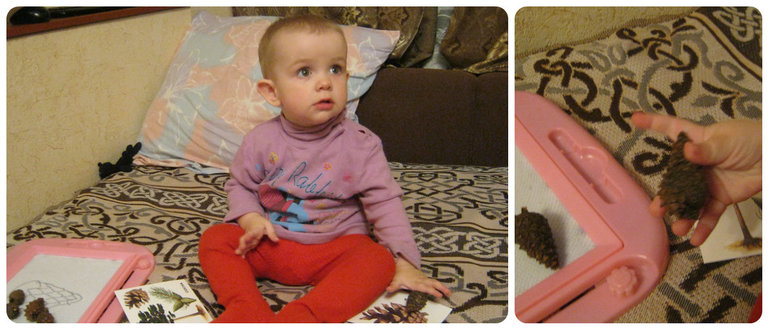 ТН Объекты природы Д 10 Шишечка (заключительный)