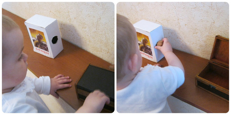 ТН Объекты природы День 2 Орех