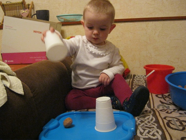 ТН Объекты природы День 2 Орех