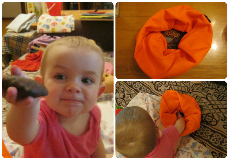 ТН Объекты природы Д 10 Шишечка (заключительный)