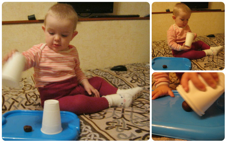 ТН Объекты природы День 3 Каштан