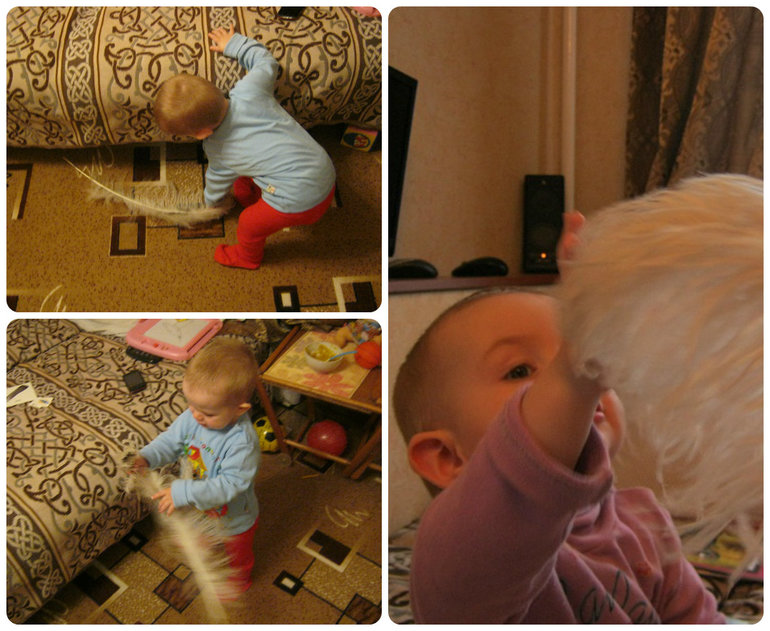 ТН Объекты природы Д 9 Перышко