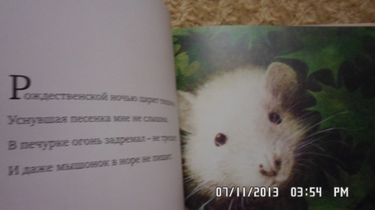 Новые книжки
