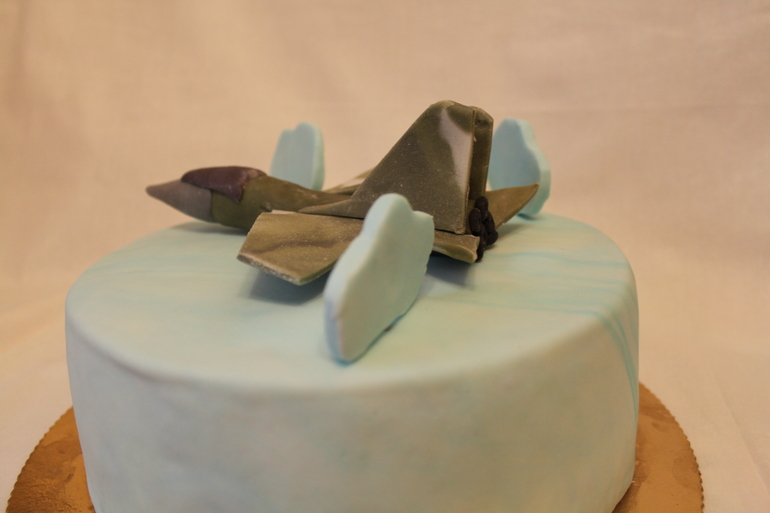 Торт с самолетом