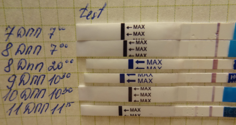 дождалась свой ХГЧ