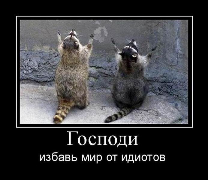 80880448fc1eb9430b511f58c1393801.jpg