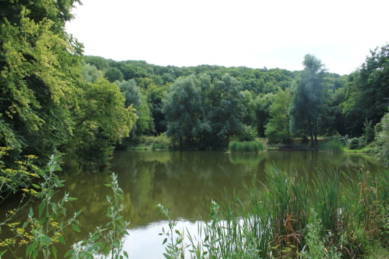 Китаевская пустынь