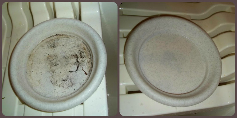 Взлет 68. День 11.