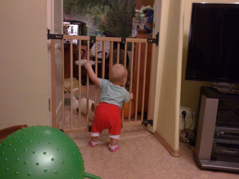 Длинный рассказ про нашего питомца