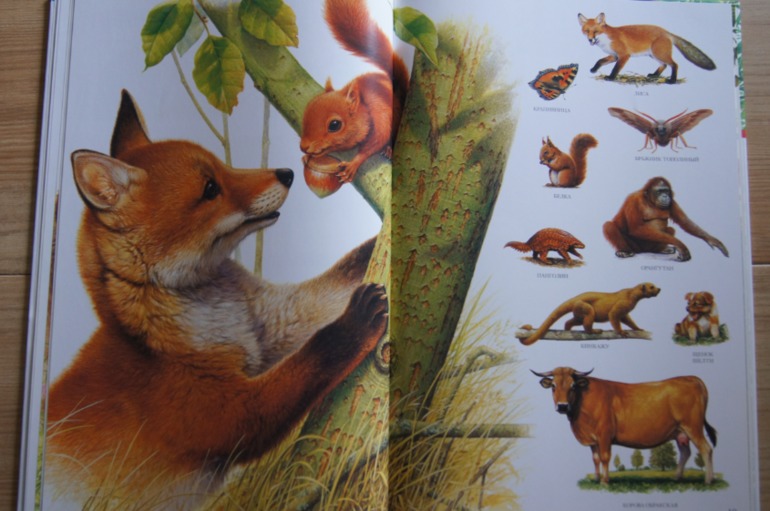 Большой атлас животных